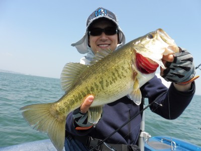 truth truth_news ブログ写真 2015/04/27