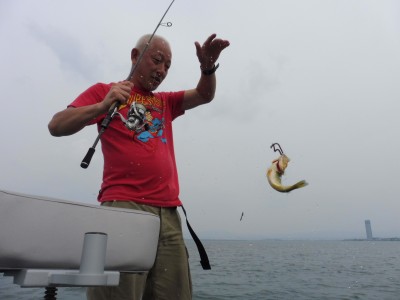 truth truth_news ブログ写真 2015/04/28