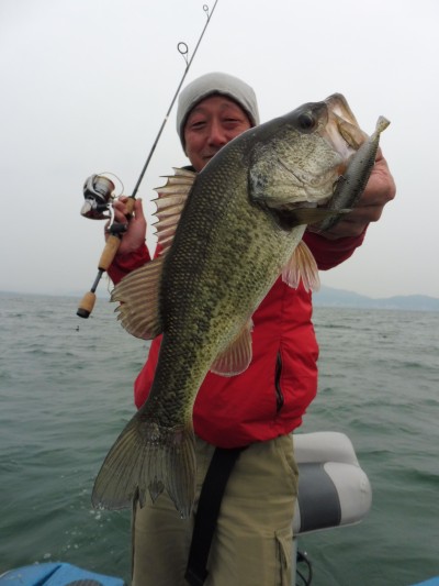 truth truth_news ブログ写真 2015/04/28