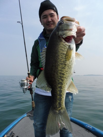 truth truth_news ブログ写真 2015/04/28