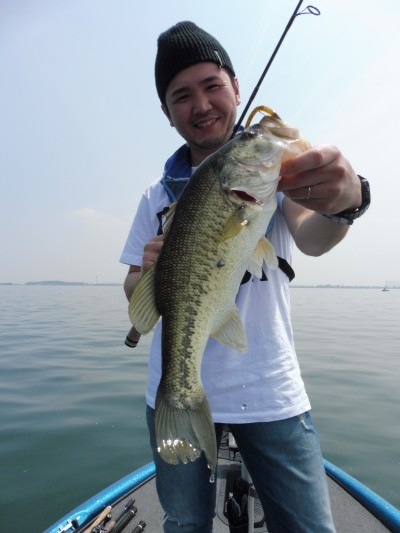 truth truth_news ブログ写真 2015/04/28