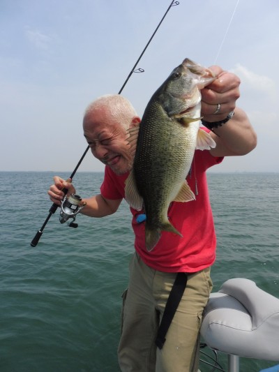 truth truth_news ブログ写真 2015/04/28