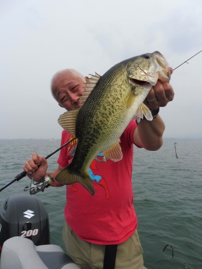 truth truth_news ブログ写真 2015/04/28