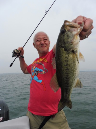 truth truth_news ブログ写真 2015/04/28