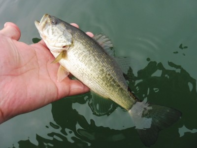 truth truth_news ブログ写真 2015/04/28