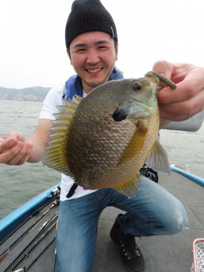 truth truth_news ブログ写真 2015/04/28