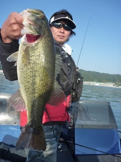 truth truth_news ブログ写真 2015/05/01