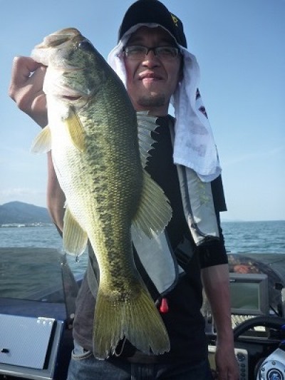 truth truth_news ブログ写真 2015/05/01