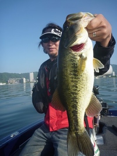 truth truth_news ブログ写真 2015/05/01