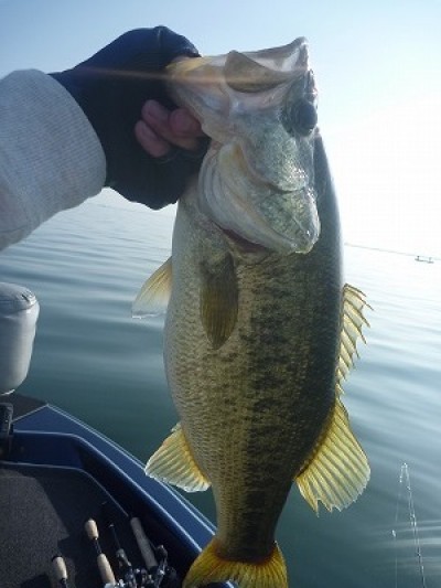 truth truth_news ブログ写真 2015/05/01