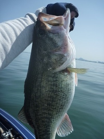 truth truth_news ブログ写真 2015/05/01