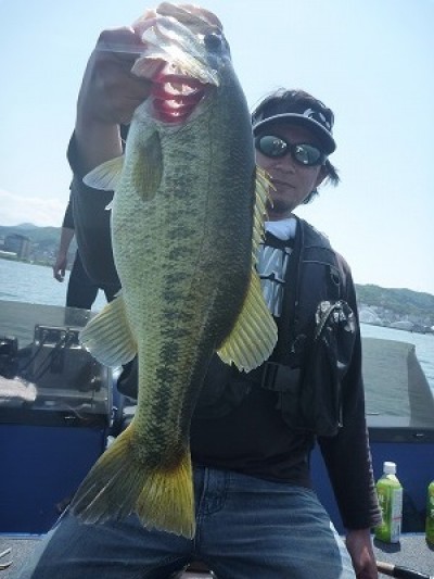 truth truth_news ブログ写真 2015/05/01