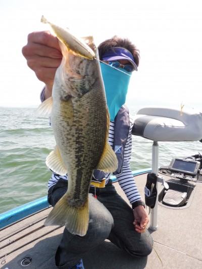 truth truth_news ブログ写真 2015/05/02