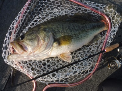 truth truth_news ブログ写真 2015/05/02