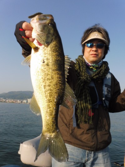 truth truth_news ブログ写真 2015/05/02