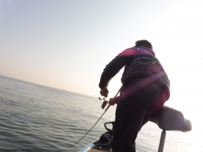 truth truth_news ブログ写真 2015/05/02