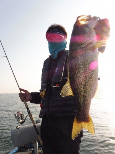 truth truth_news ブログ写真 2015/05/02