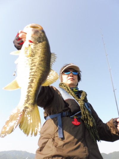 truth truth_news ブログ写真 2015/05/02