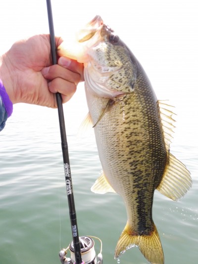 truth truth_news ブログ写真 2015/05/02