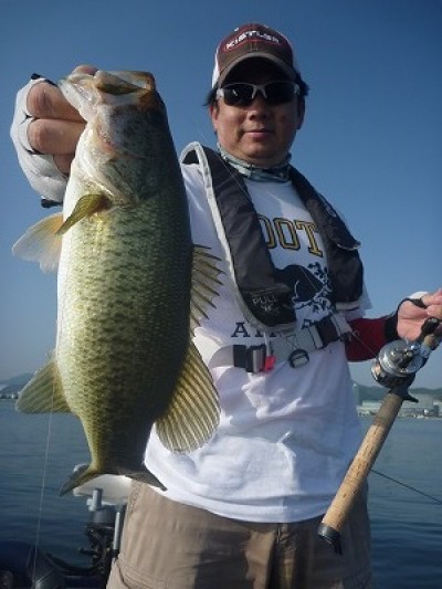 truth truth_news ブログ写真 2015/05/02