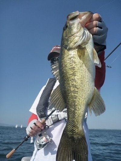 truth truth_news ブログ写真 2015/05/02