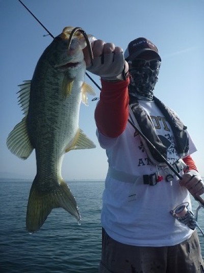 truth truth_news ブログ写真 2015/05/02