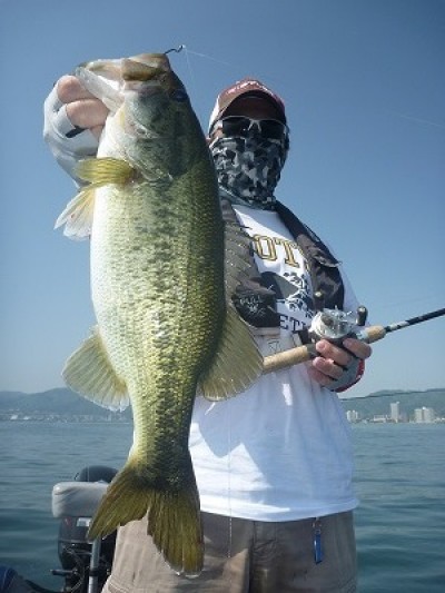 truth truth_news ブログ写真 2015/05/02