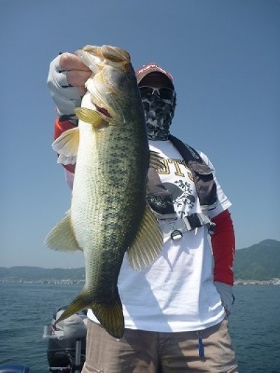 truth truth_news ブログ写真 2015/05/02