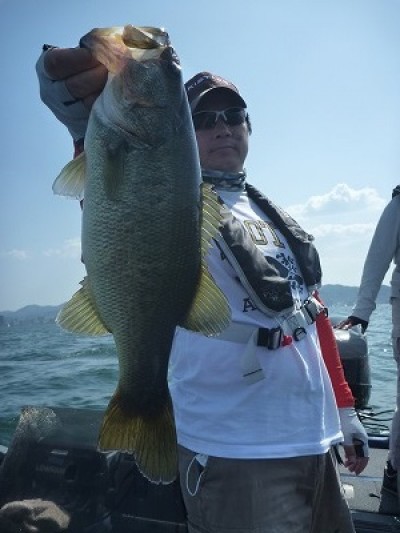 truth truth_news ブログ写真 2015/05/02