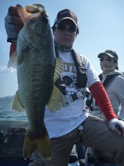 truth truth_news ブログ写真 2015/05/02