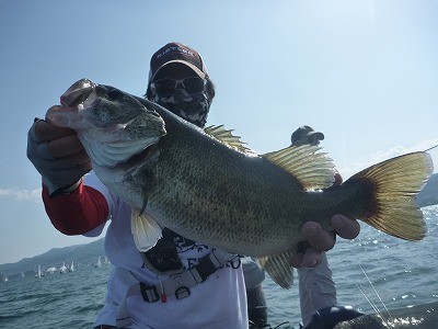 truth truth_news ブログ写真 2015/05/02