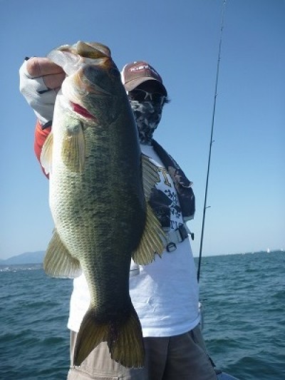 truth truth_news ブログ写真 2015/05/02