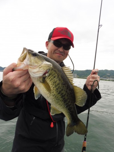 truth truth_news ブログ写真 2015/05/03