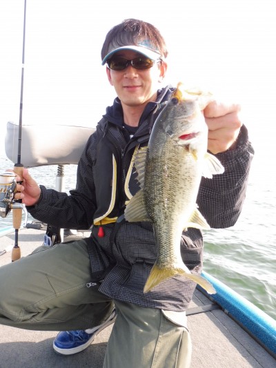 truth truth_news ブログ写真 2015/05/03