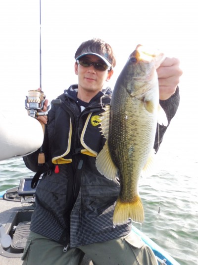 truth truth_news ブログ写真 2015/05/03