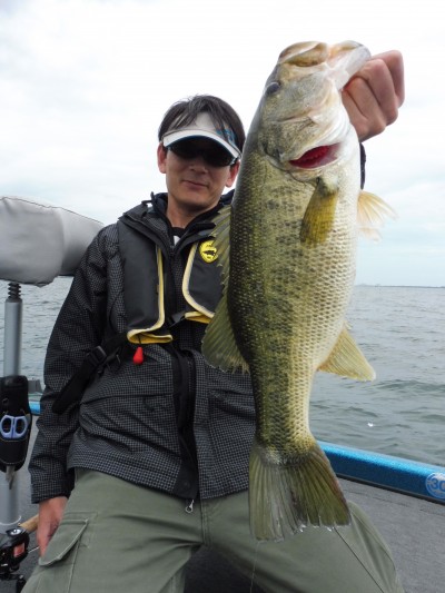 truth truth_news ブログ写真 2015/05/03