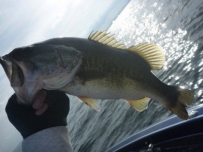 truth truth_news ブログ写真 2015/05/03