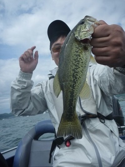 truth truth_news ブログ写真 2015/05/03