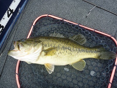 truth truth_news ブログ写真 2015/05/03