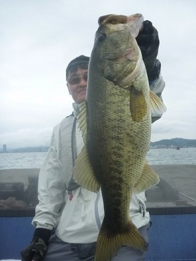 truth truth_news ブログ写真 2015/05/04