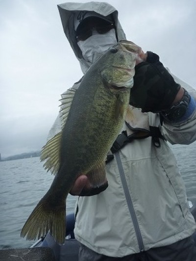 truth truth_news ブログ写真 2015/05/04