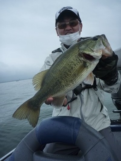 truth truth_news ブログ写真 2015/05/04