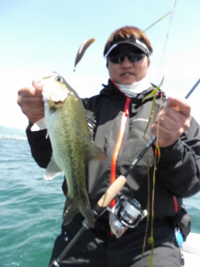 truth truth_news ブログ写真 2015/05/11