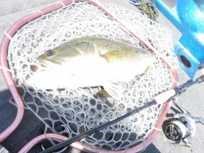 truth truth_news ブログ写真 2015/05/11