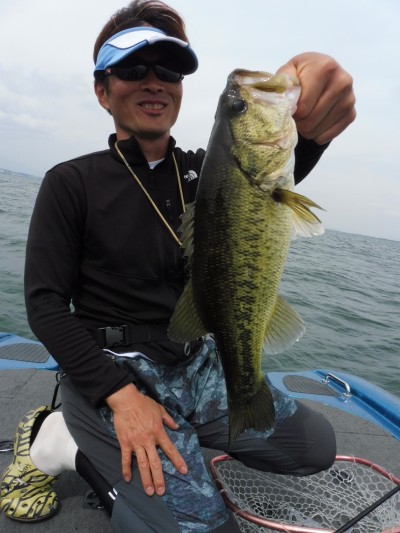 truth truth_news ブログ写真 2015/05/15