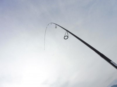 truth truth_news ブログ写真 2015/05/15