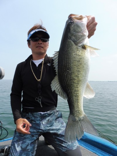 truth truth_news ブログ写真 2015/05/15