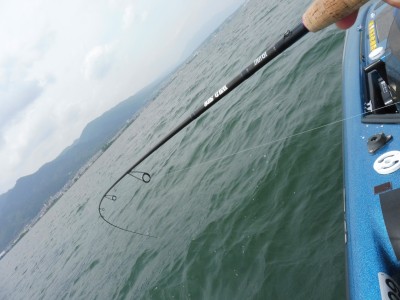 truth truth_news ブログ写真 2015/05/15