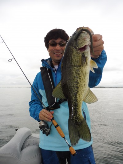 truth truth_news ブログ写真 2015/05/16