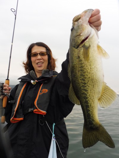 truth truth_news ブログ写真 2015/05/16